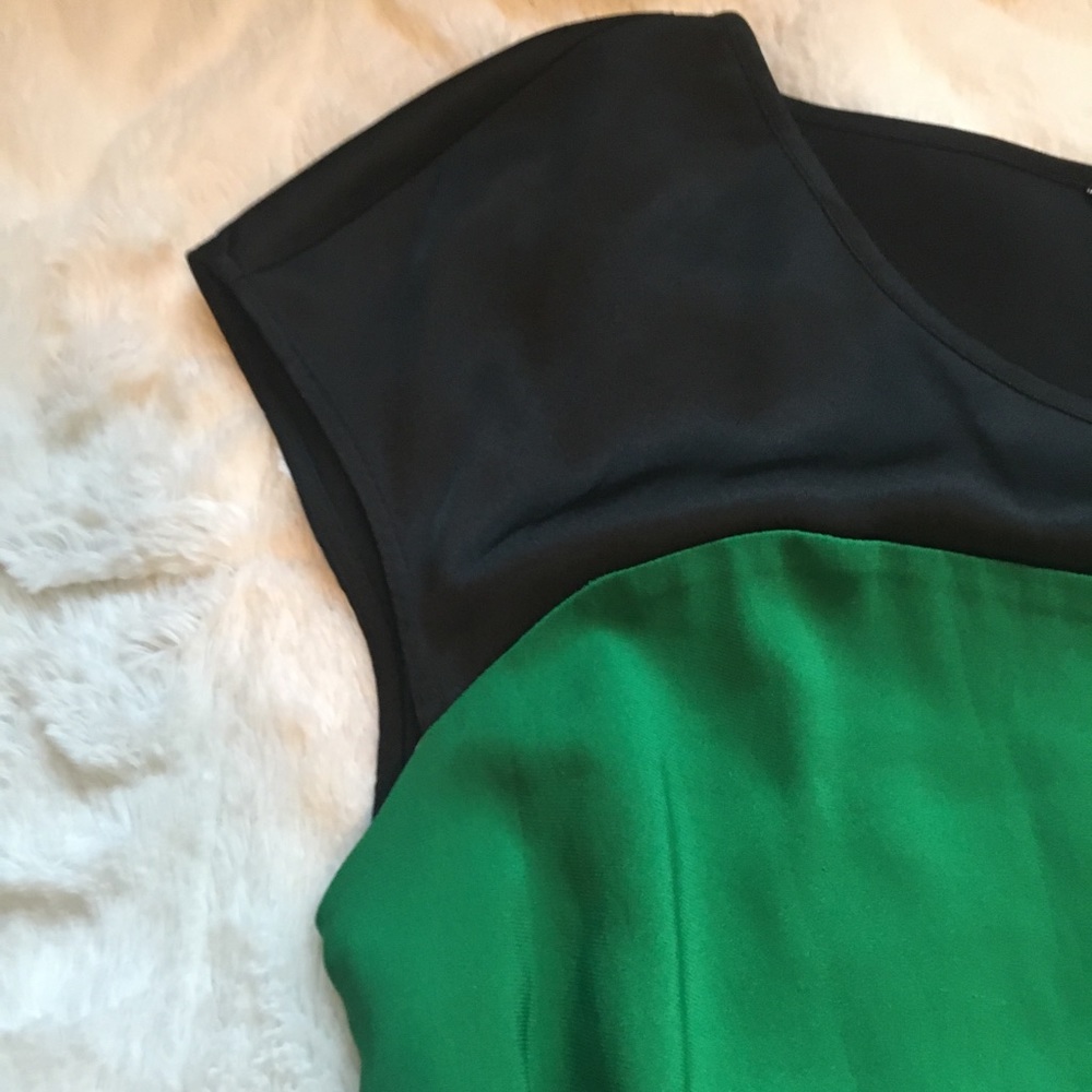 Express Dress - Picture 6 of 10